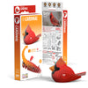 Cardinal 3D Puzzle