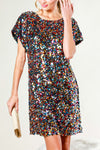 Multi Color Sequin Dress