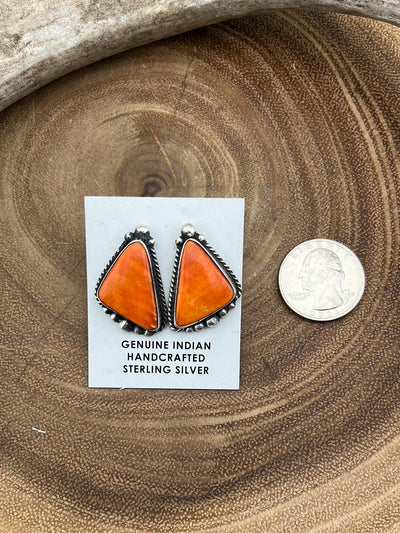 Ava Spiny Sterling Silver  Earrings