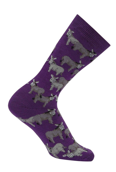 Donkey Love Socks